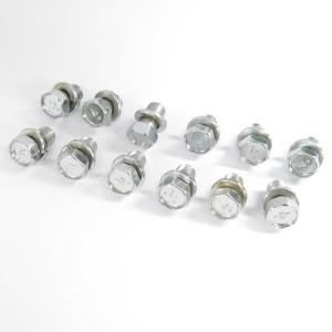 140000142 ASメッキフロントハブキャップ用メッキボルト12本組 日野グランドプロフィア用 トラック用品