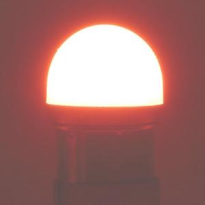 ルミナスルーセントバルブ(BAY15d)ダブル...の詳細画像3
