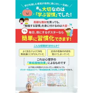 【送料無料】世界地図 日本地図 お風呂ポスター...の詳細画像3