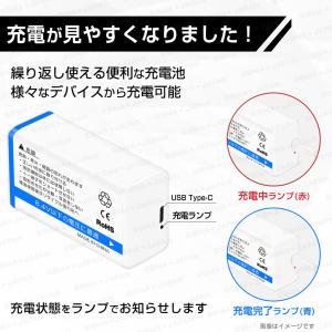 【ロワジャパン】 USB-C 9V 充電池 2...の詳細画像1