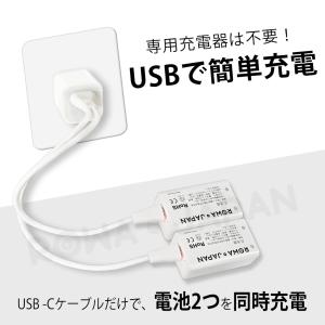 【ロワジャパン】 USB-C 9V 充電池 2...の詳細画像2