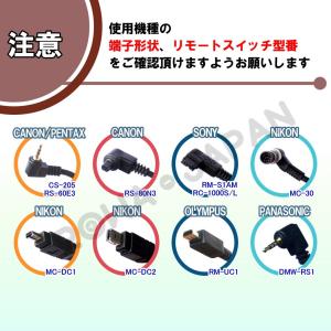 【互換品】 キヤノン対応 RS-60E3 ペン...の詳細画像3