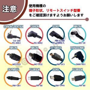 【互換品】 キヤノン対応 RS-60E3 シャ...の詳細画像4