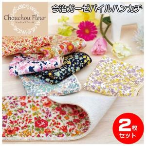 鉄道グッズ 寝台特急カシオペア デザイン タオルハンカチ : 鉄道グッズ