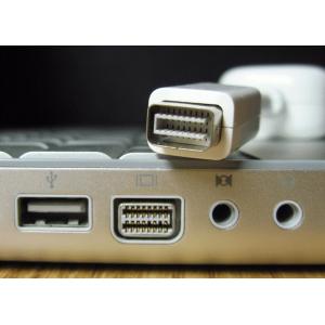 Apple用 MiniDVI to DVI 変換アダプタ｜royal-monster