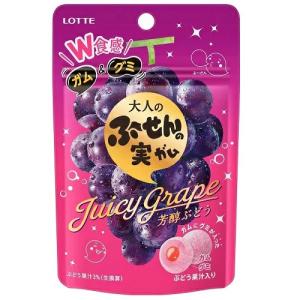 ロッテ 大人のふ〜せんの実(芳醇ぶどう) 26g ×10個