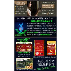 最新のデザイン サプリメント Meta 3袋 ｄｎａ核酸 フカヒレコラーゲン 2箱 Dna Rna Collagen2 Ecme3 核酸 ヒアルロン酸とプラセンタの店 超低分子ヒアルロン酸ecme1 Dna Rna Collagen2 Ecme3 Dna核酸 3袋 ｄｎａ核酸 フカヒレコラーゲン 2箱 フカヒレ