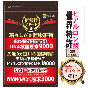 ヒアルロン酸 サプリメント超低分子ヒアルロン酸CME120+DNA核酸50