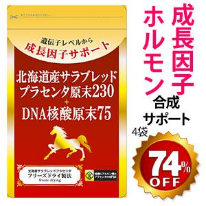 プラセンタ サプリメント 馬 国産　北海道サラブレッドプラセンタ原末230mg＋DNA核酸原末75　合計4袋 ほぼ原価販売