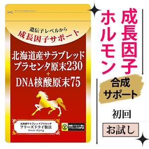 プラセンタ サプリメント 馬 国産 極限増量北海道サラブレッ...