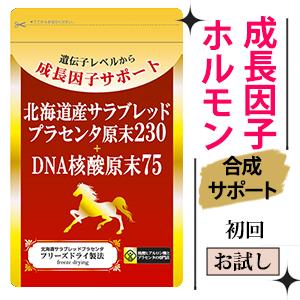 プラセンタ サプリメント 北海道サラブレッドプラセンタ原末230+DNA核酸原末75 袋 初回限定　赤字　お試し