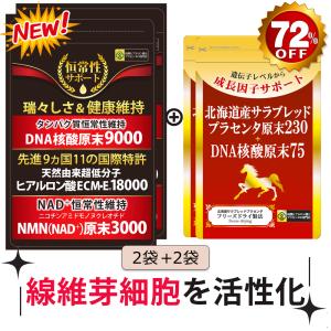 プラセンタ サプリメント 馬 国産　極限増量北海道サラブレッドプラセンタ原末230mg＋DNA核酸原末75mg馬　2袋　ヒアルロン酸ＥＣＭＥ1202袋　合計4袋｜核酸ヒアルロン酸とプラセンタの専門店