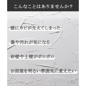 日本製 練り済み 漆喰 小分け 20kg 約1...の詳細画像3