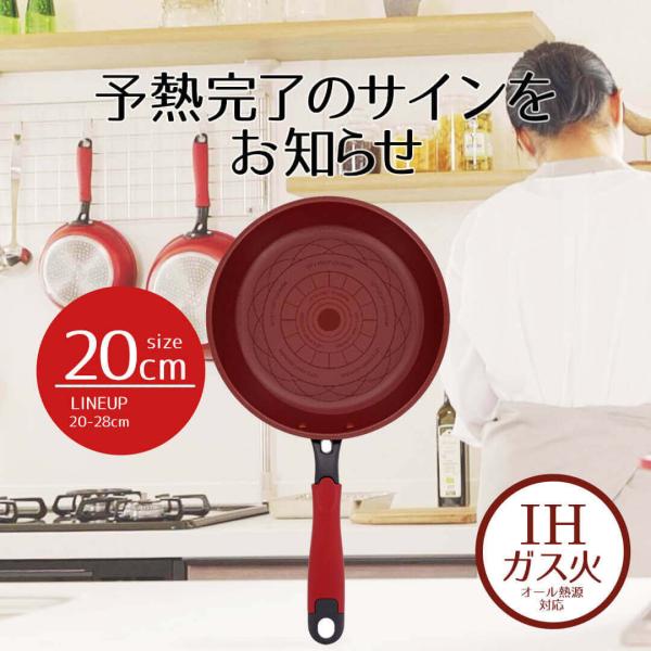 フライパン 20cm デリシャスサインエボルト IHフライパン 20センチ ih ガス火 対応 軽量...