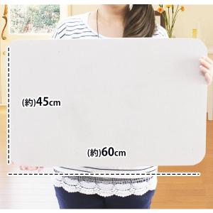 アスベスト不使用 検査済 珪藻土 Moiss ...の詳細画像1