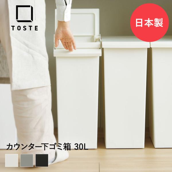 TOSTE ゴミ箱 30L レバーオープン リス RISU ペール 日本製 | 2WAY キッチン ...