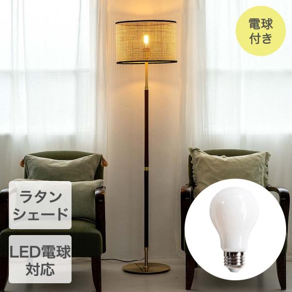 TIC フロアライト 1灯タイプ LED電球クリア付き 部屋 照明器具 TC-1055-60C-BR...