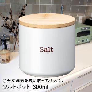 保存容器 ソルト＆シュガーポットセット 300ml 陶器製 スプーン付き 木