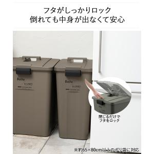 ゴミ箱 分別 屋外 45L タッチオープン ペ...の詳細画像2