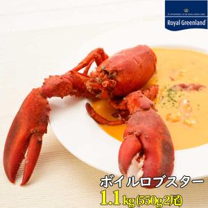 エビ  年末年始 ロブスター オマール海老 ボイル 550g