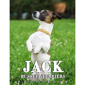 The Photo Of Jack Russell Terriers: Jack Russell Terriers 2023-2024｜royalshoping01