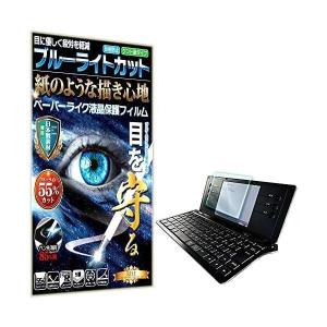 ブルーライトカット 紙のような描き心地 見やすい ポメラ DM100 フィルム ポメラ DM100 ペーパー 紙 テクスチャ (ポメラ DM100)｜royalshoping01