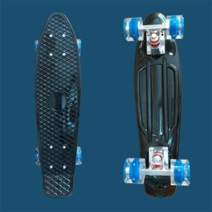 新モデル！WCPコンプリート スケートボード22インチ スケボー ミニ