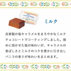 ロイズ 公式 ROYCE’ 期間数量限定 ブル...の詳細画像4