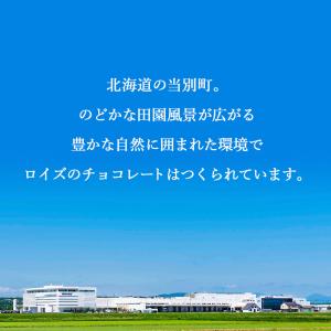 ロイズ 公式 ROYCE’ 手提げ紙袋 小 ポ...の詳細画像5