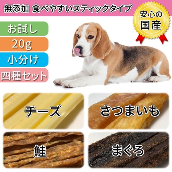 犬 おやつ 無添加 国産 スティック 食べきりサイズ セット まぐろ さつまいも 鮭 チーズ 食つき...