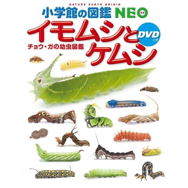 小学館の図鑑 NEO イモムシとケムシ チョウ・ガの幼虫図鑑 新版 DVD付き