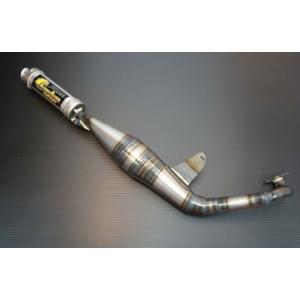 カメレオンファクトリー ボンネビル ベーシック AB316 アドレスV100