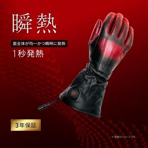 HeatMaster12VヒートレザーグローブLTシリーズTYPE-1LIDEF Heat Master 12Vヒートレザーグローブ LTシリーズ TYPE-1 LIDEF