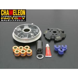 カメレオンファクトリー製 チャンバー A104 パラライザー3 ライブDIO/J