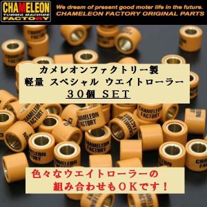 (まとめてお買い得) カメレオンファクトリー製 業務用　軽量スペシャルウエイトローラー 30個SET｜rpsksp