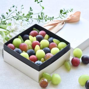 お中元 ぶどうの宝石箱 ヴェレゾンブランシュ 贈り物 送料無料 岡山 葡萄 シャインマスカット ピオーネ 桃太郎ぶどう 果物