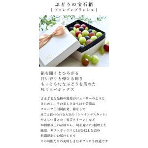お中元 ぶどうの宝石箱 ヴェレゾンブランシュ ...の詳細画像3