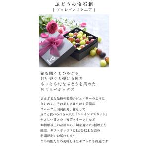 お中元 ぶどうの宝石箱 ヴェレゾンスクエア 贈...の詳細画像2