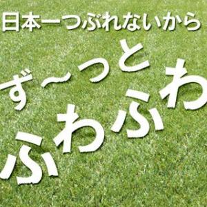 人工芝　メモリーターフ 2m×5m　1巻