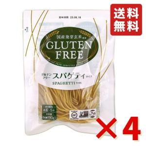 ケンミン ライスパスタ 250g×3袋 米麺 家庭用 簡単 インスタント お米