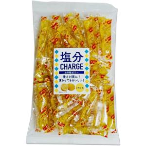 坂製菓 塩分チャージゼリー レモン＆ライチ 500g （約53本）1袋 凍らせ