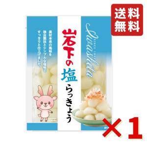 岩下 岩下の塩らっきょう 90g 1袋 岩下食品 塩らっきょう カレー トッピング 漬物 食べきりサイズ おつまみ 送料無料 らっきょう