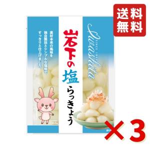 岩下 岩下の塩らっきょう 90g 3袋 岩下食品 塩らっきょう カレー トッピング 漬物 食べきりサイズ おつまみ 送料無料 らっきょう