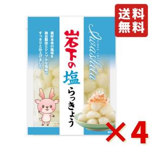 岩下 岩下の塩らっきょう 90g 4袋 岩下食品 塩らっきょう カレー トッピング 漬物 食べきりサイズ おつまみ 送料無料 らっきょう