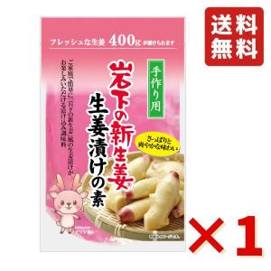 岩下 岩下の新生姜生姜漬けの素 400ml 1袋 岩下食品 酢漬け 漬物 ピクルス 生姜 簡単 手作り 送料無料｜業務用食品問屋アールズ