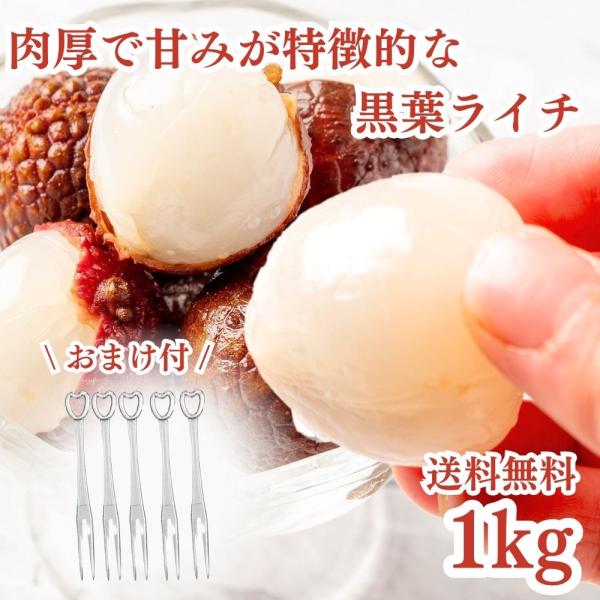 冷凍フルーツ ライチ 1kg おまけ付 フルーツフォーク5本セット 黒葉 南国フルーツ 砂糖不使用 ...