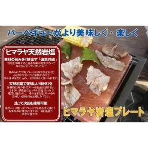 ヒマラヤ岩塩プレート 大 約20.5cm×約20.5cm×約2.5cm 焼肉 バーベキュー 蒸し焼き 器 塩 ソルト アウトドア BBQ キャンプ｜rs-food5