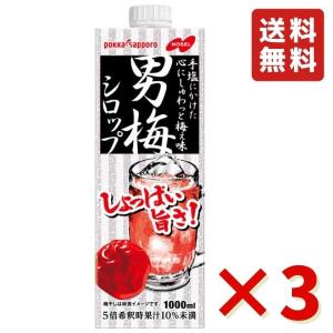 男梅シロップ 1L 3本 ポッカサッポロ ポッカ 業務用 紙パック 居酒屋 カクテル ノンアルコール かき氷 希釈用 送料無料 お酒 男梅