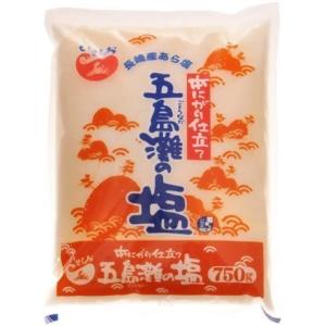 本にがり仕立て五島灘の塩 750g 10袋 １ケース 国産塩 料理塩 にがり お漬物 調味塩 送料無料