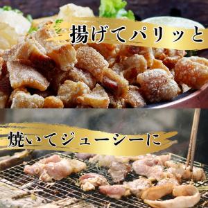 国産 とり皮 6kg (2kg×3袋) 冷凍 ...の詳細画像3